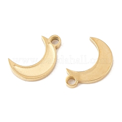 304 Stainless Steel Charms&nbsp;STAS-L022-546G