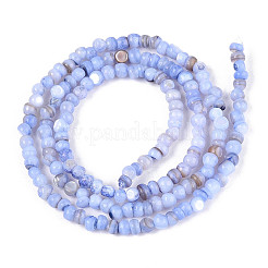 Natural Freshwater Shell Dyed Beads Strands&nbsp;SHEL-T020-29B