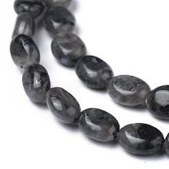 Natural Black Larvikite Beads Strands&nbsp;G-Z006-A03
