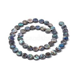 天然アワビシェル/パウアシェルビーズ連売り  フラットラウンド  カラフル  8x3mm  穴：0.5mm  約48個/連  16インチ&nbsp;SSHEL-G003-5-8x3mm