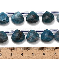 Natural Apatite Beads Strands&nbsp;G-C292-A06-01