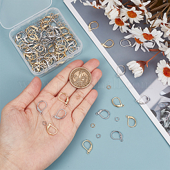 80Pcs 2 Color 304 Stainless Steel Leverback Earring Findings&nbsp;STAS-SP0001-14
