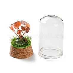 Natural Carnelian Chips Money Tree in Dome Glass Bell Jars with Wood Base Display Decorations&nbsp;DJEW-K030-02F