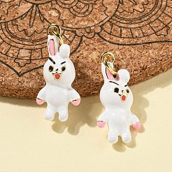 Rack Plating Brass Enamel Pendants&nbsp;KK-S366-01G