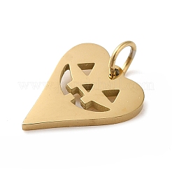 Halloween 304 Stainless Steel Charms&nbsp;STAS-K263-22G
