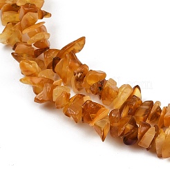 Natural Amber Beads Beads Strands&nbsp;G-Q060-C05