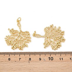 真鍮チャーム  ブランチ  丸カン付き  鉛フリー＆カドミウムフリー  長持ちメッキ  ラックめっき  18KGP本金メッキ  32x27x2mm  穴：3mm&nbsp;KK-L255-01G-04