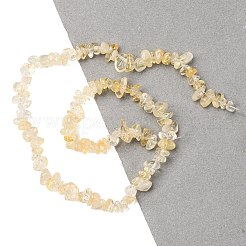 Natural Citrine Beads Strands&nbsp;X-G-P332-51