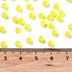 Baking Paint Glass Seed Beads&nbsp;SEED-H002-I-B501