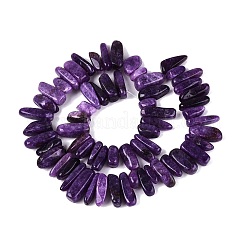 Dyed Natural Quartz Beads Strands&nbsp;G-Q606-24A-07