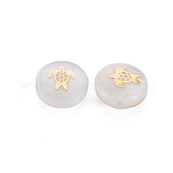 Natural Freshwater Shell Beads&nbsp;SHEL-S278-061