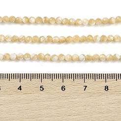 天然ニシキウズガイシェルビーズ連売り  多面カット  ラウンド  バリーウッド  3~3.5mm  穴：0.6mm  約138個/連  15.55インチ（39.5cm）&nbsp;BSHE-G036-08B-02