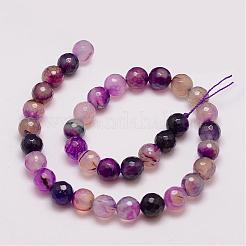 Natural Striped Agate/Banded Agate Bead Strands&nbsp;G-G882-10mm-D02-4