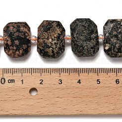 Natural Snowflake Obsidian Beads Strands&nbsp;G-H078-B22-01