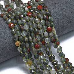 Natural African Bloodstone Beads Strands&nbsp;G-K389-B64-01