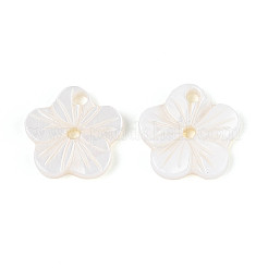 Natural Freshwater Shell Buttons&nbsp;SHEL-N038-11