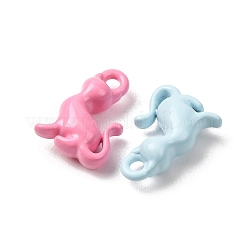 Baking Paint Alloy Pendants&nbsp;FIND-G116-04