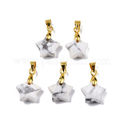 Natural Howlite Charms&nbsp;G-N326-142-10