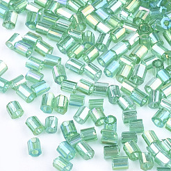 FGB Grade A Glass Seed Beads&nbsp;SEED-S022-05F