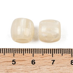 不透明樹脂ヨーロッパビーズ  コラム大穴ビーズ  古いレース  12x10mm  穴：4.8mm&nbsp;X-RESI-C070-03