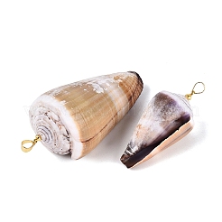 Brass & Natural Cone Shell Pendants&nbsp;SHEL-Q029-20-02KCG