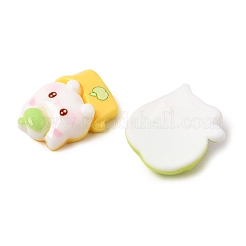 オペーク樹脂カボション  りんごと猫  ミックスカラー  18~23x15~20x6~9.5mm&nbsp;RE-CBACC7F-01