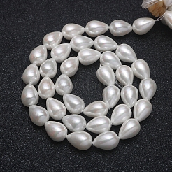 Natural Shell Beads Strands&nbsp;BSHE-WH0002-02