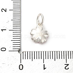925 Sterling Silver Indian Red Enamel Charms&nbsp;STER-C014-01C-S