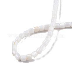 天然淡水シェルビーズ連売り  コラム  3.5x3.5mm  穴：0.8mm  約110~113個/連  14.69インチ〜15.08インチ（37.3~38.3cm）&nbsp;SHEL-N003-33-B01