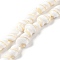 Natural Shell Beads Strands, Conch, Seashell Color, 9~22x5~13mm, Hole: 0.8mm, about 27~28pcs/strand, 15.47''(39.3~39.5cm)