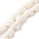 Natural Shell Beads Strands&nbsp;BSHE-D020-01-1