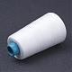 Polyester Thread&nbsp;OCOR-WH0001-18-2