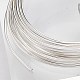 Brass Wire&nbsp;CWIR-WH0010-08B-S-1