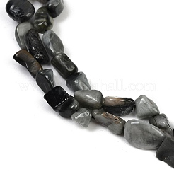 Natural Eagle Eye Stone Beads Strands&nbsp;G-Q060-D06