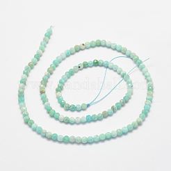 天然石アマゾナイトビーズ連売り  多面カット  ラウンド  3mm  穴：1mm  約146個/連  15.3インチ&nbsp;X-G-P279-42-3mm