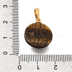 天然石タイガーアイペンダント  真鍮の太陽が付いたフラットラウンドいチャーム  ゴールドカラー  20x16x7mm  穴：6.5x3.5mm&nbsp;G-T151-01H