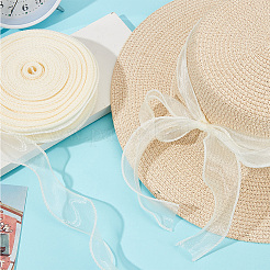 Polyester Organza Ribbons&nbsp;SRIB-WH20020-003A-01