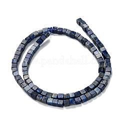 天然石ラピスラズリビーズ連売り  キューブ  4x4x4mm  穴：0.7mm  約85個/連  15.2インチ（38.5cm）&nbsp;G-F631-K05