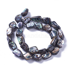 天然アワビシェル/パウアシェルビーズ連売り  ナゲット  10~19x9~14x5~8mm  穴：1mm  約28~30個/連  15.7~15.9インチ（40~40.5cm）&nbsp;SSHEL-F303-08B