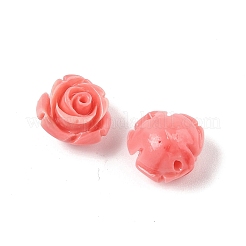 Synthetic Shell Dyed Beads&nbsp;SHEL-K007-15C