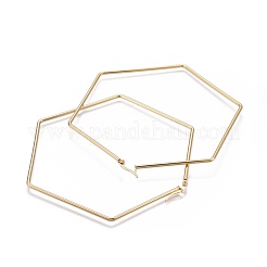 201 Stainless Steel Hoop Earrings&nbsp;EJEW-A052-25B