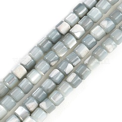 Natural Trochid Shell/Trochus Shell Bead Strands&nbsp;SSHEL-N034-77-C01