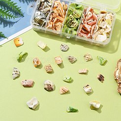 125g 5色天然シェルビーズ連売り  染め  ナゲット  ミックスカラー  10~20x8~12x3~6mm  穴：1mm  25 G /カラー&nbsp;BSHE-FS0001-06B