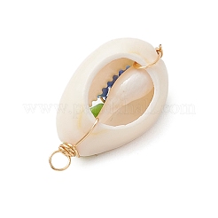 10Pcs 10 Colors Natural Cowrie Shell Pendants&nbsp;PALLOY-MZ00321