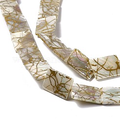 Drawbench Style Natural Freshwater Shell Beads Strands&nbsp;SHEL-F003-02
