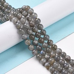 Natural Labradorite Bead Strands&nbsp;G-P259-03-6mm
