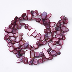 Freshwater Shell Beads Strands&nbsp;SHEL-S274-40G