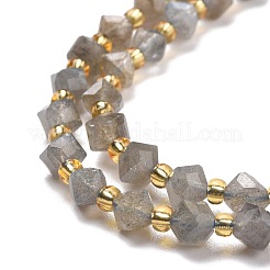 Natural Labradorite Beads Strands&nbsp;G-P463-35