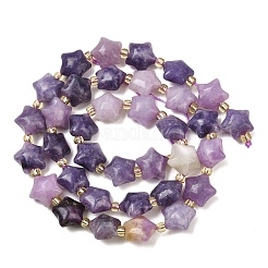 Natural Lepidolite Beads Strands&nbsp;G-Z080-A02-10mm
