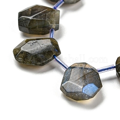 Natural Labradorite Beads Strands&nbsp;G-Z040-A03-01